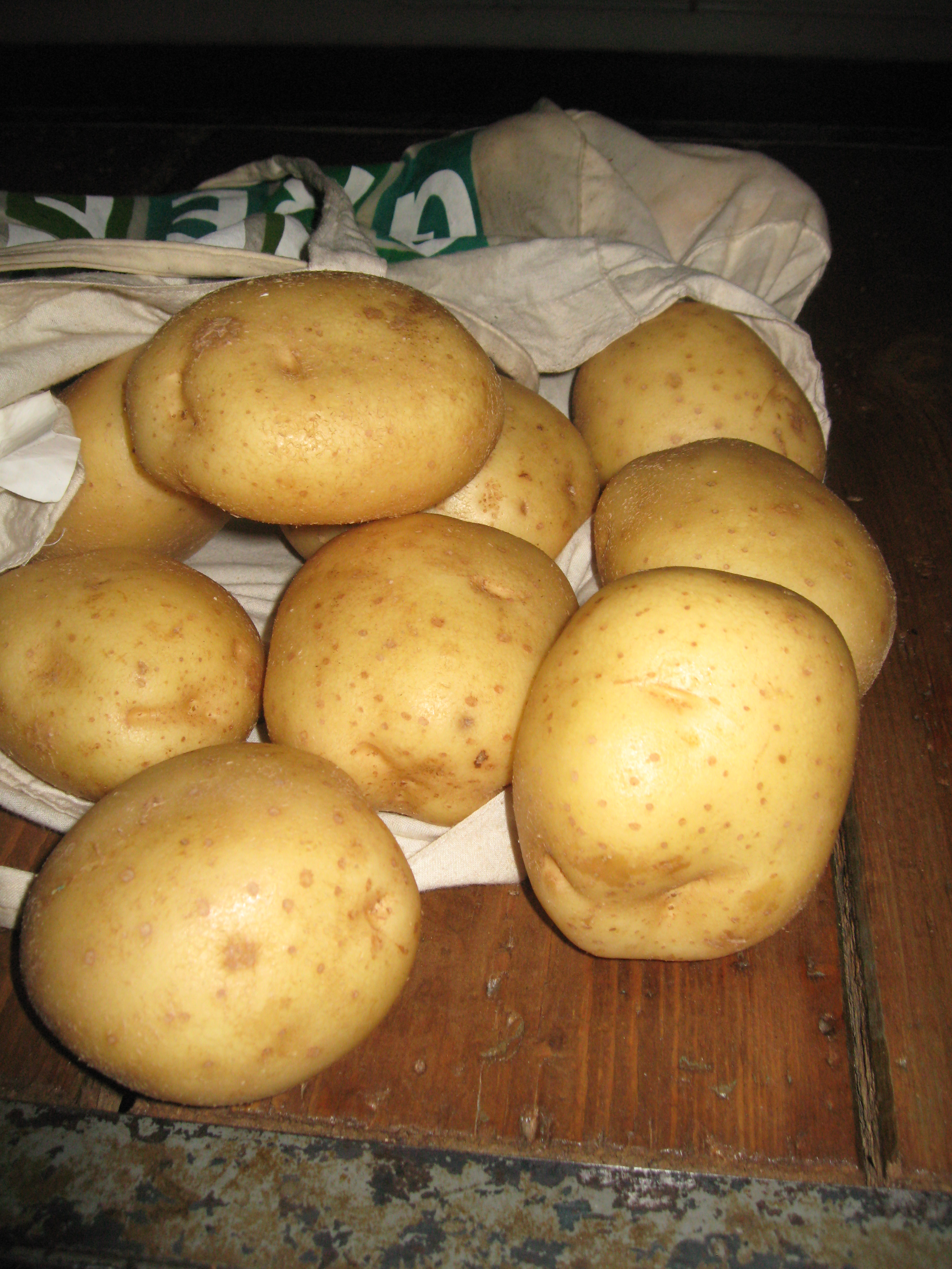 What is the scientific name for potato?