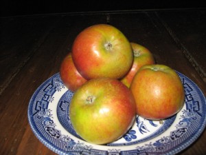 2014-02-11 20.37.16