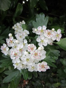 098