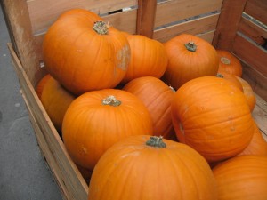 2014-10-21 12.15.12